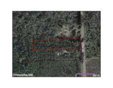Image - 2