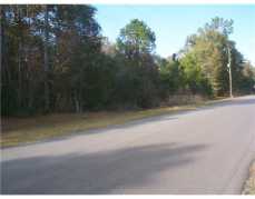 Image - 3