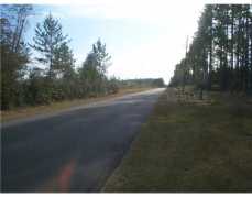 Image - 4