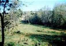 A Hunters Paradise! 85 Beautiful Acres on the Little Sioux River. Deer and Turkey Galore! $4,300.00/Year CRP Income. Property Located in Buena Vista and Clay County. Parcel Nos. 02-03-100-012, 02-04-200-006 and 02-04-200-009 in Buena Vista County. Parcel Nos. 9437-33-400-012 and 9437-34-300-012 in Clay County.

A Hunter's Paradise! Beautiful 85 Acres of Timber on the Little Sioux River. Deer and Turkey Galore. $4,300.00 Per Year CRP Income. Clay County--Douglas Township, Sections 33 and 34 AND Buena Vista County--Barnes Township, Sections 3 and 4. 